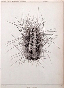 Image description is not available for 1999.016